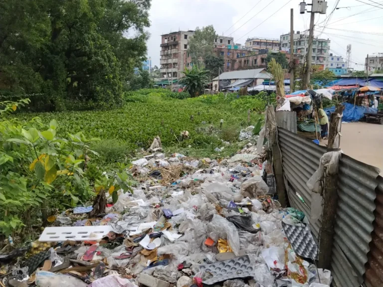 লেকে বাজারের বর্জ্যে পরিবেশ বিপর্যয়, মশা-দুর্গন্ধে বিপাকে এইচএসসি পরীক্ষার্থীরা